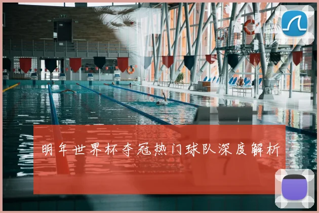 明年世界杯夺冠热门球队深度解析