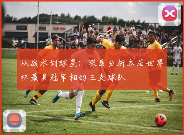 从战术到球星：深度分析本届世界杯最具冠军相的三支球队
