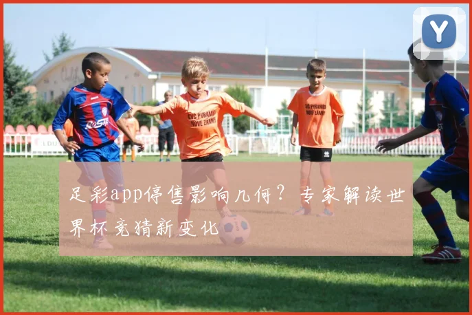 足彩app停售影响几何？专家解读世界杯竞猜新变化
