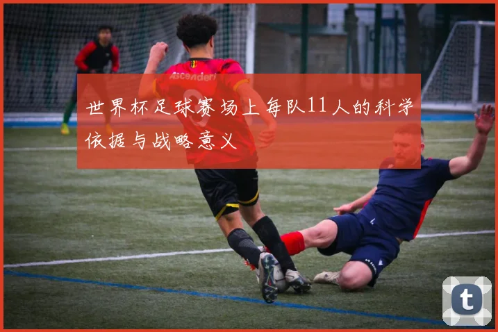 世界杯足球赛场上每队11人的科学依据与战略意义