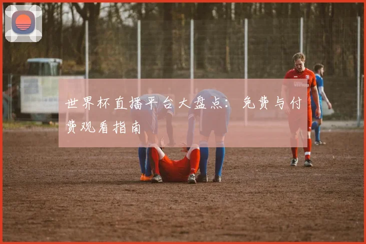 世界杯直播平台大盘点:免费与付费观看指南