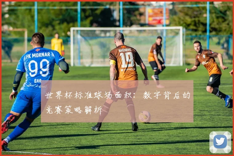 世界杯标准球场面积:数字背后的竞赛策略解析