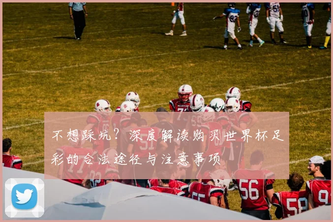 不想踩坑?深度解读购买世界杯足彩的合法途径与注意事项