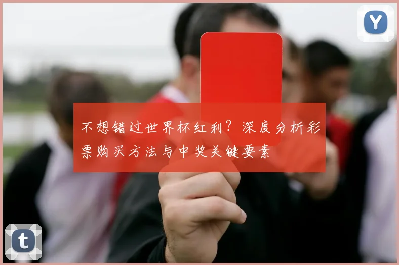 不想错过世界杯红利?深度分析彩票购买方法与中奖关键要素