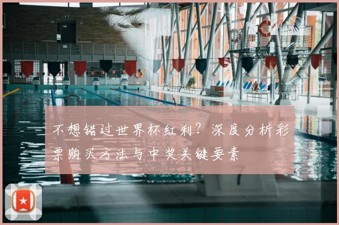 不想错过世界杯红利?深度分析彩票购买方法与中奖关键要素