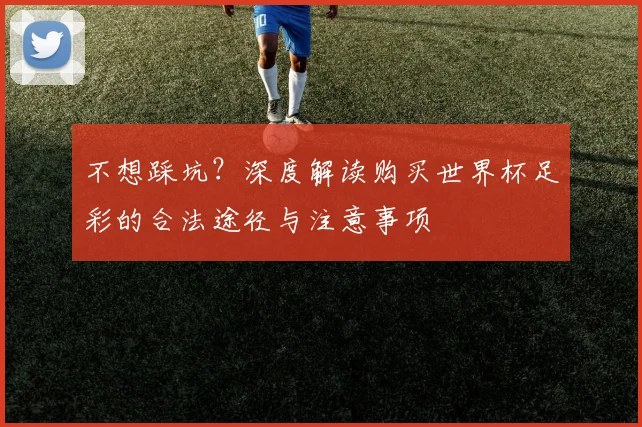 不想踩坑?深度解读购买世界杯足彩的合法途径与注意事项